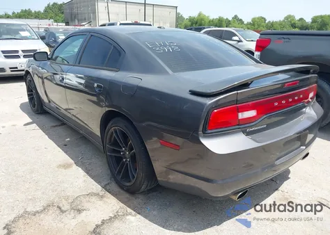 2014 Dodge Charger Road/Track from USA, damaged, VIN 2C3CDXCT2EH123998
